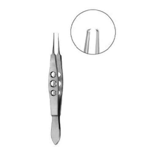 Forceps